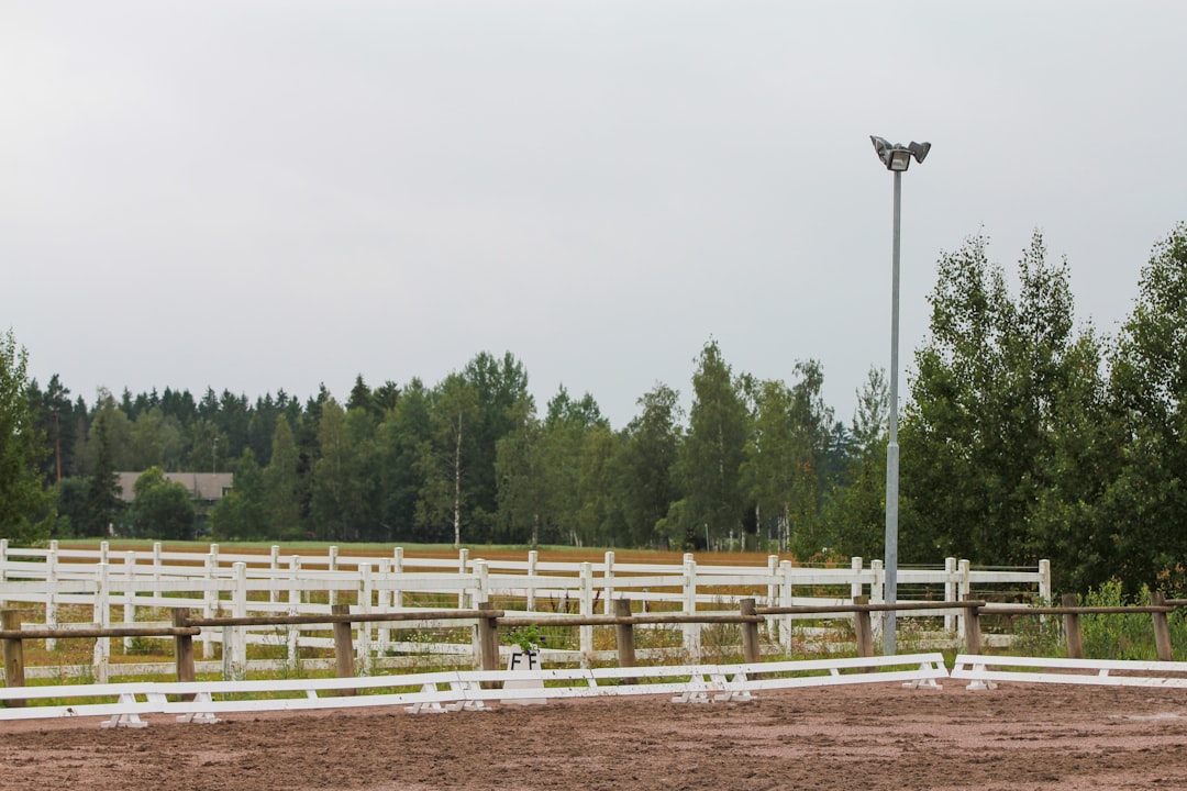 Photo Horse stable