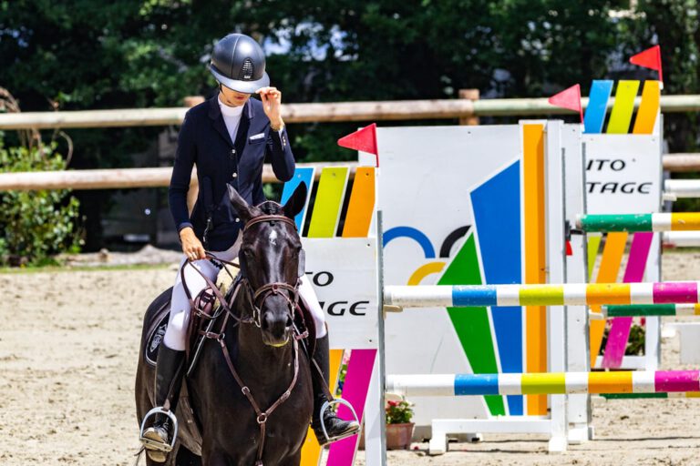 Photo Equine massage