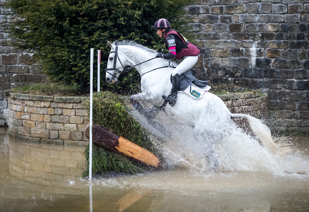 Photo Horse jumping