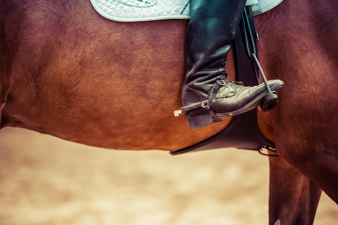 Photo Horse jumping