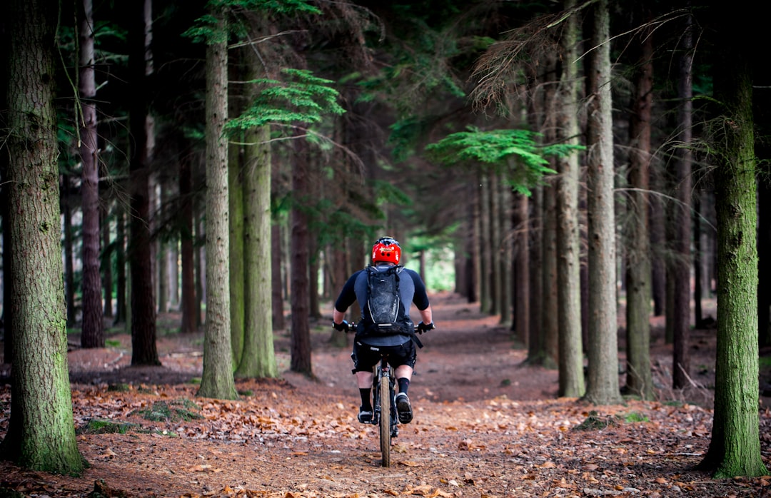 Photo Riding helmets