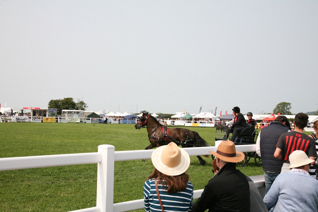 Photo Equestrian competition