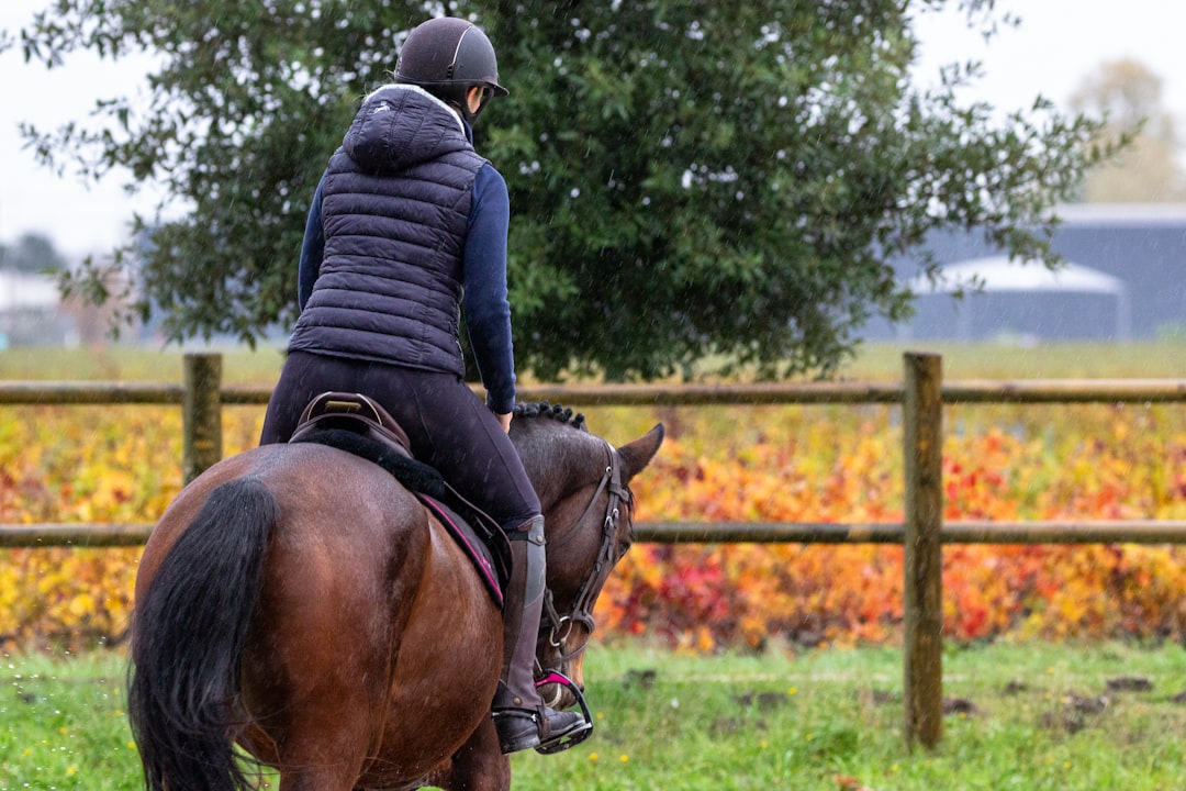 Photo Horse riding helmet