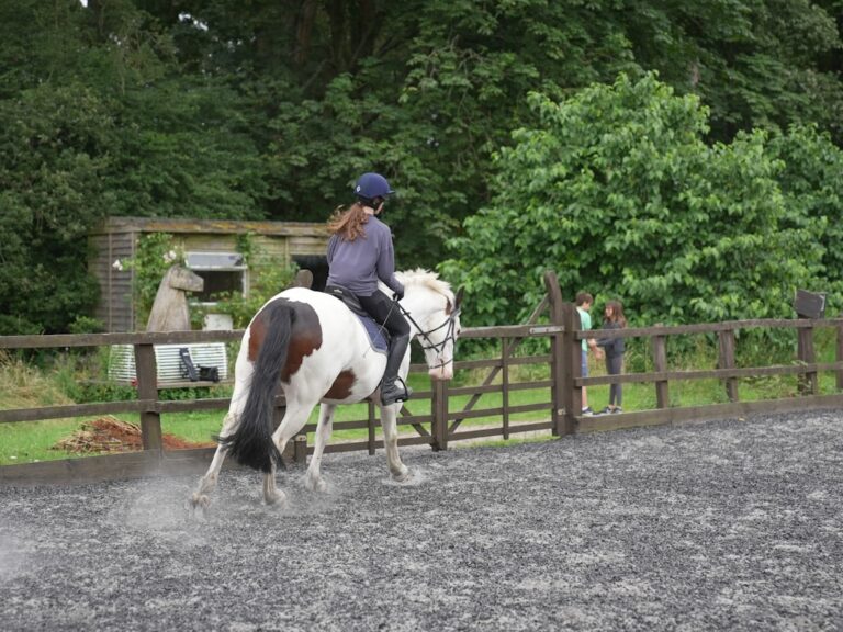 Photo Riding arena